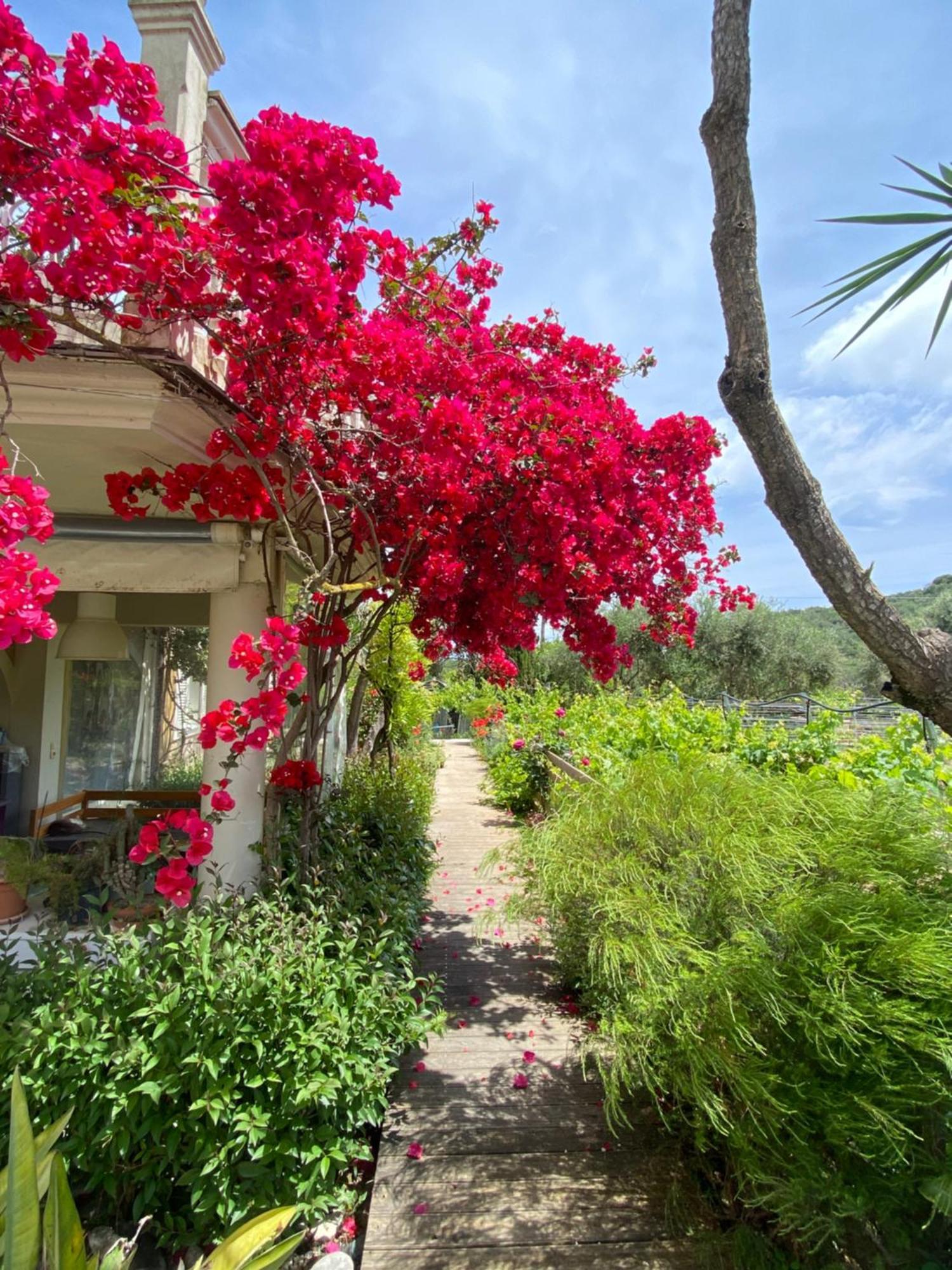 Bed & Breakfast Kali Zoi -b&b Zakynthos *